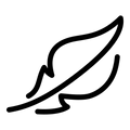 Kopfhautpflege zuerst
